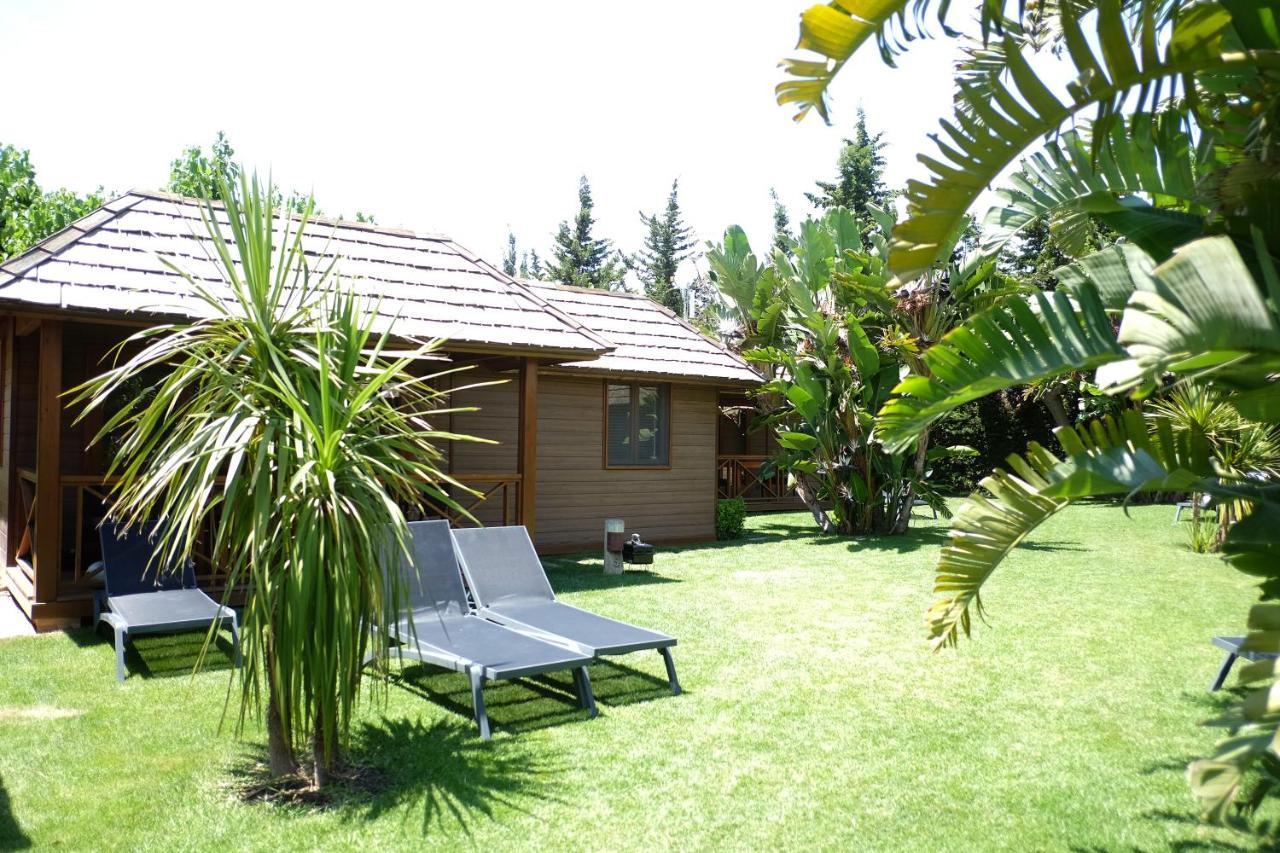 Playa Montroig Camping Resort Dış mekan fotoğraf